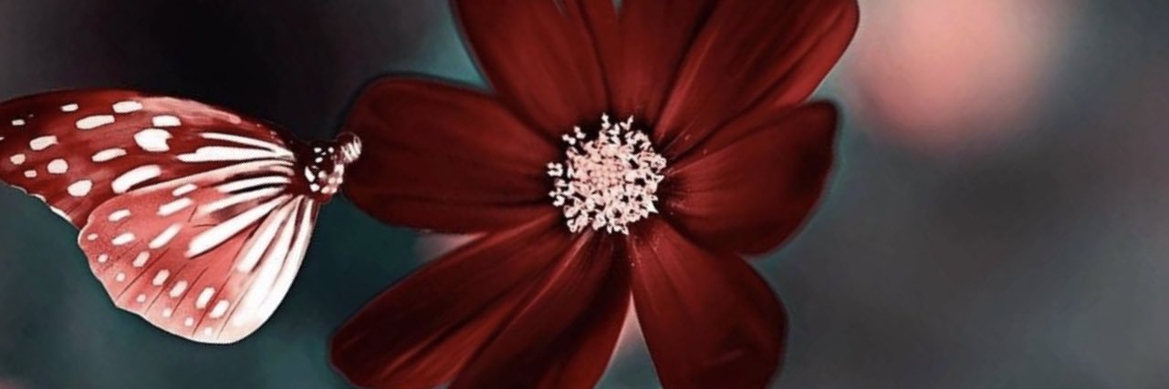 MariaLuisa214's profile banner image