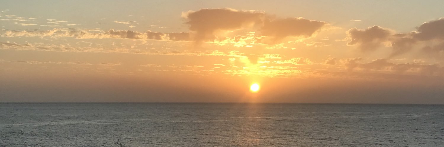 sararodriguezj's profile banner image