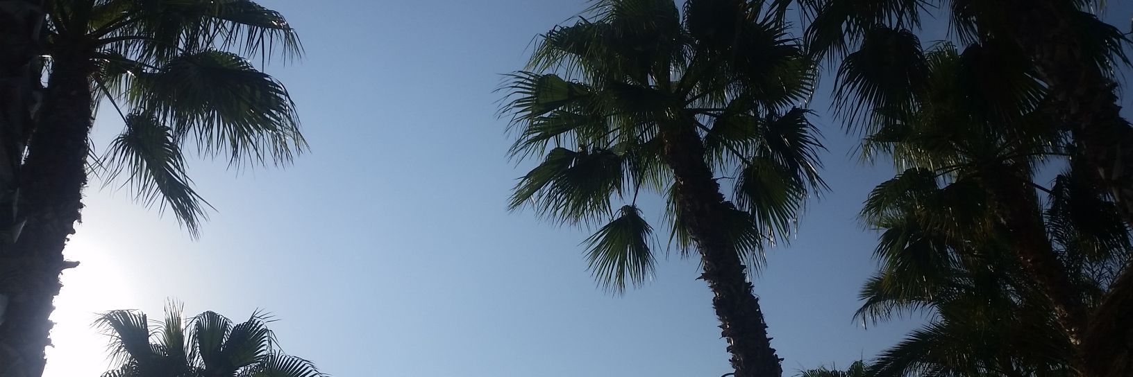 BeaMorenoo's profile banner image