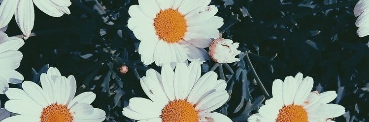MMLMYUNTt's profile banner image
