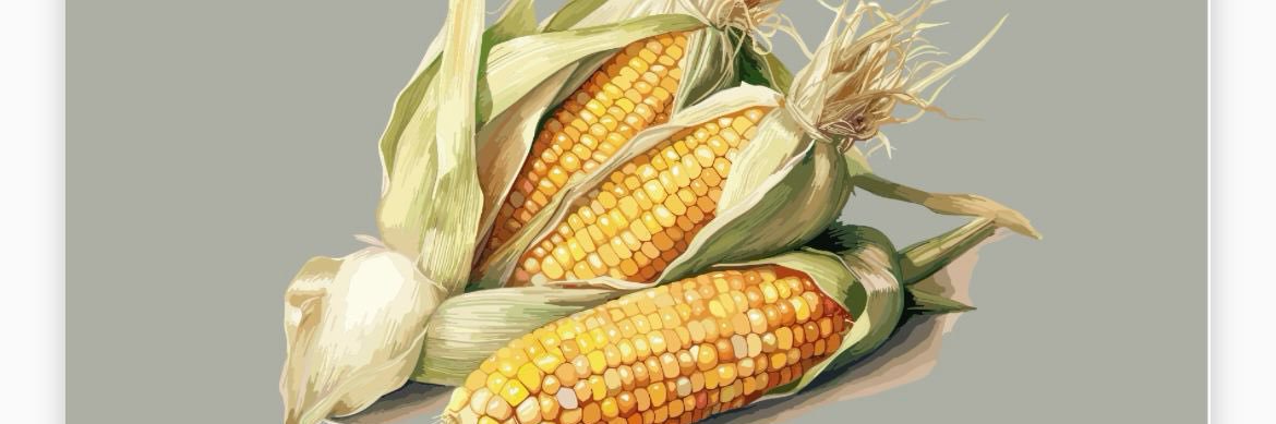 Alejandra Nunez banner