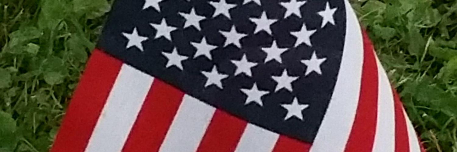 Carolyn Petersen banner