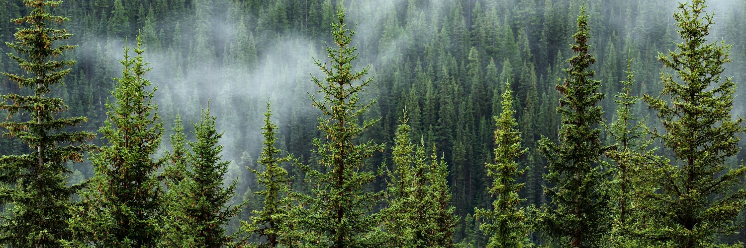 Kestävämetsä.fi banner
