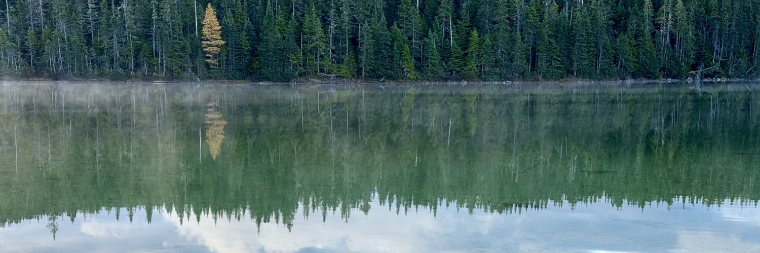 Connie Boland #querying #fiction banner