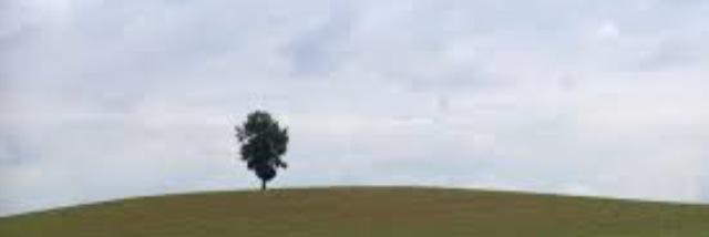 OhGodNoGodot's profile banner image