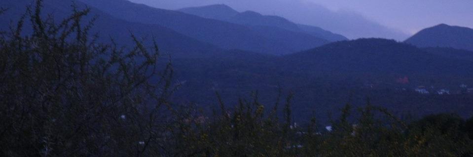 Laura Vergerio banner