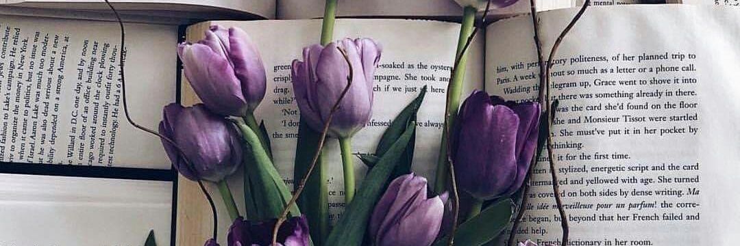nour_bagh's profile banner image