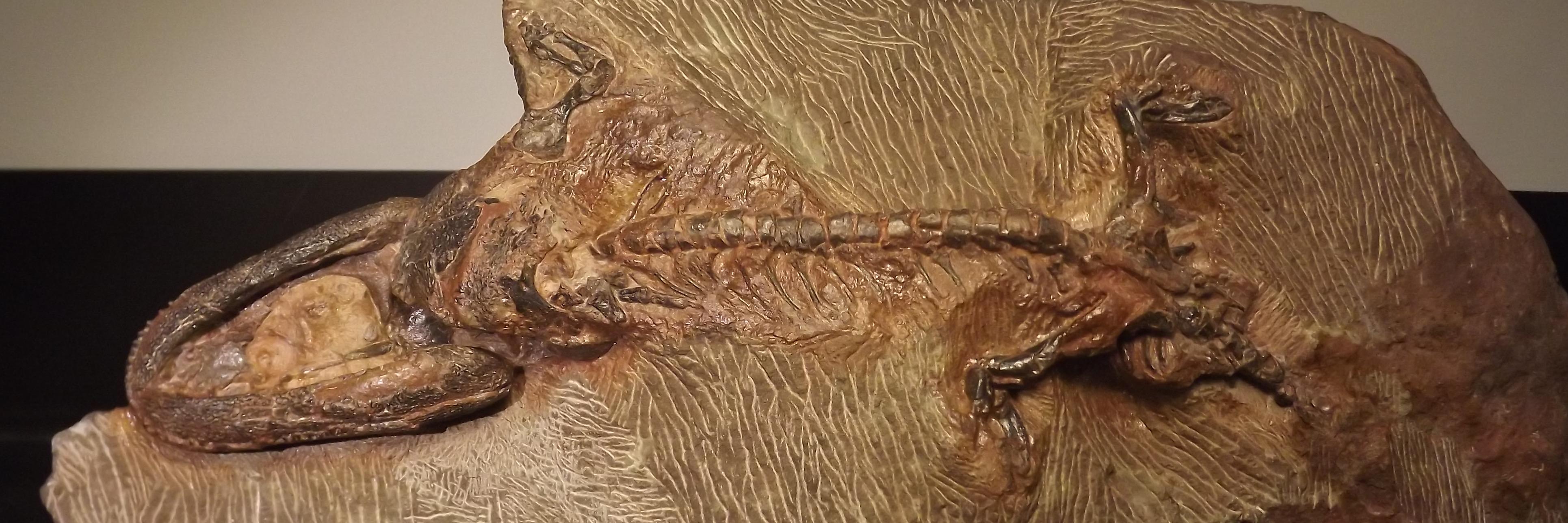 Hillary Maddin banner