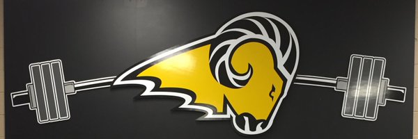 SEPstrength Profile Banner