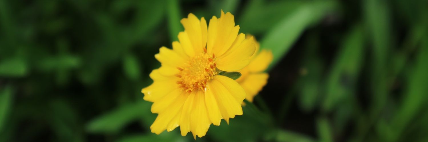 putrimawarni3's profile banner image