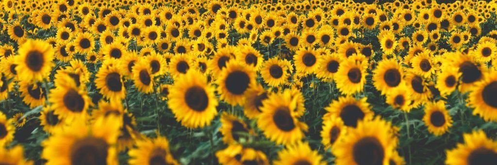 nathamedeiross's profile banner image
