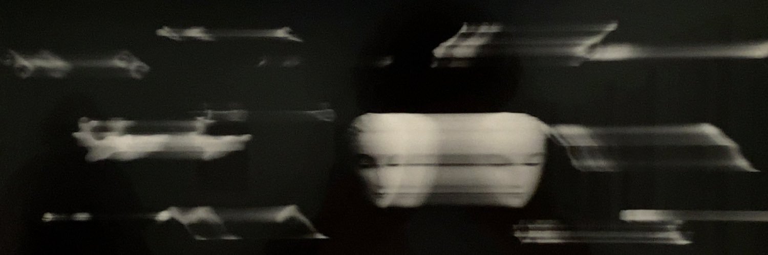 wavedir's profile banner image