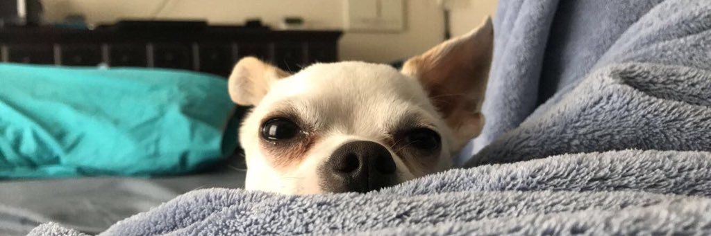 Aubree1217's profile banner image