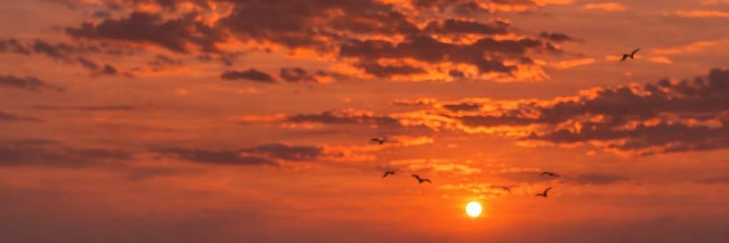 looly8686's profile banner image