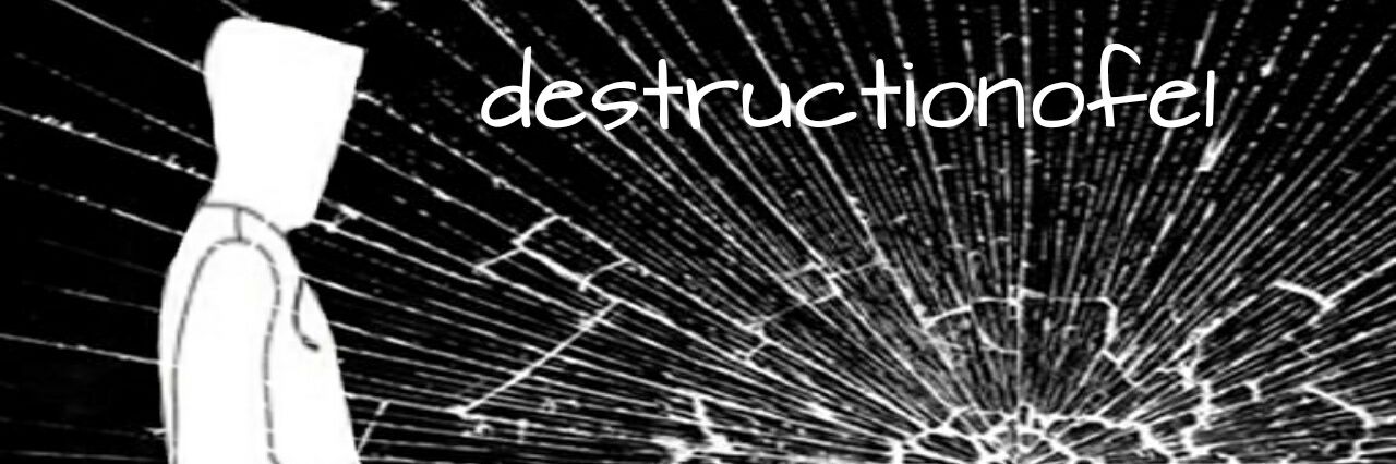 destructionofe1's profile banner image