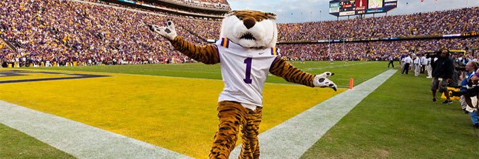 StuffLSUFansSay's profile banner image