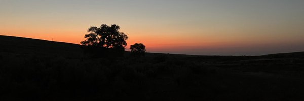 MissK2theB Profile Banner