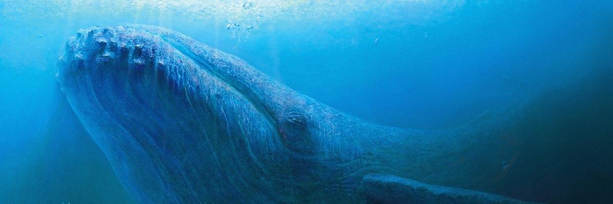 cetaceousgloom's profile banner image