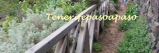 TFpasoapaso's profile banner image