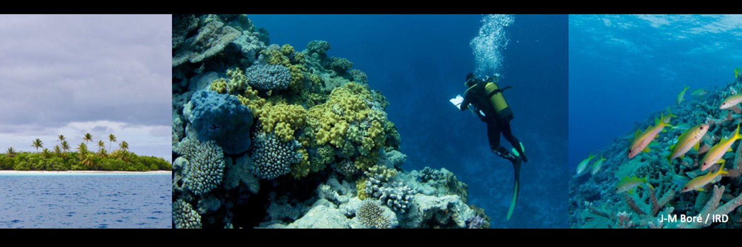 Entropie - Tropical Marine Ecology Lab. Profile Banner