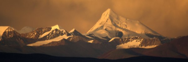 MtnSentinels Profile Banner