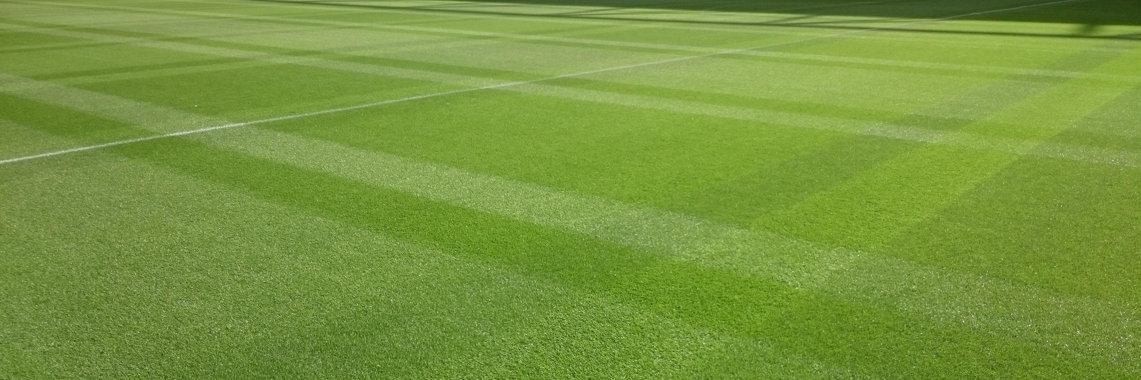 Grasmeesters's profile banner image