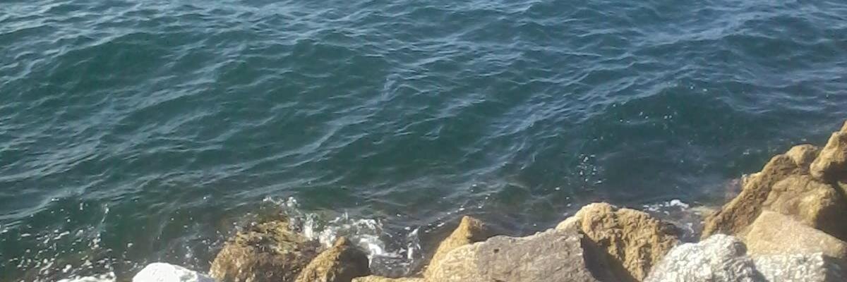 lramil_phd's profile banner image