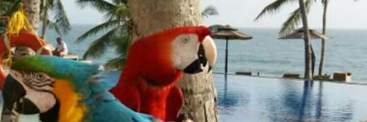 beatrizcvg's profile banner image