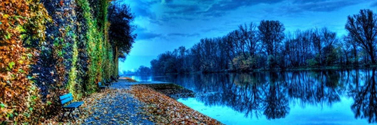 arandina7's profile banner image