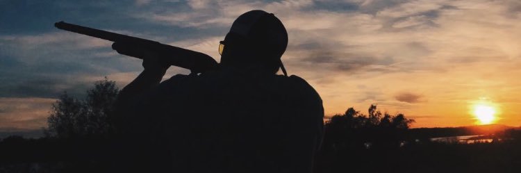 cammole123's profile banner image
