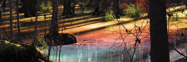 ashleyroedotcom Profile Banner