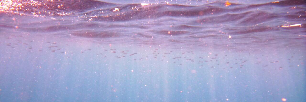 Scarlett Leithold banner