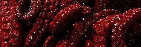 Ilfae_'s profile banner image
