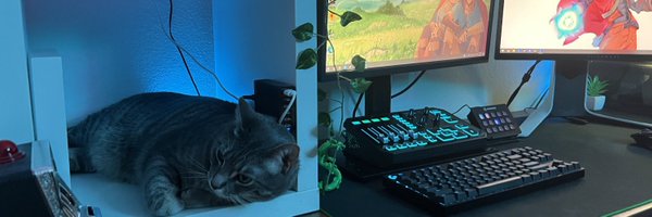 ColtHavok Profile Banner