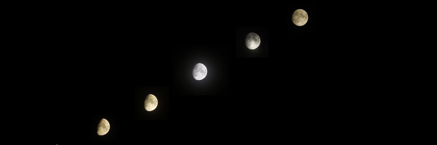 laurenbeehan's profile banner image