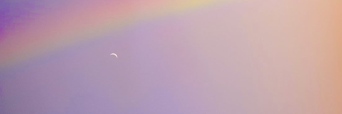 liz ⭐️ banner