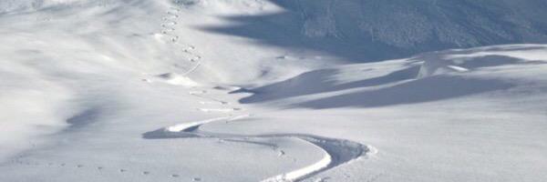 actiberi's profile banner image