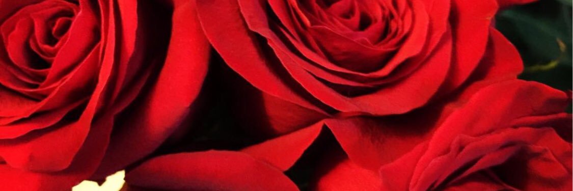 Tammara7's profile banner image