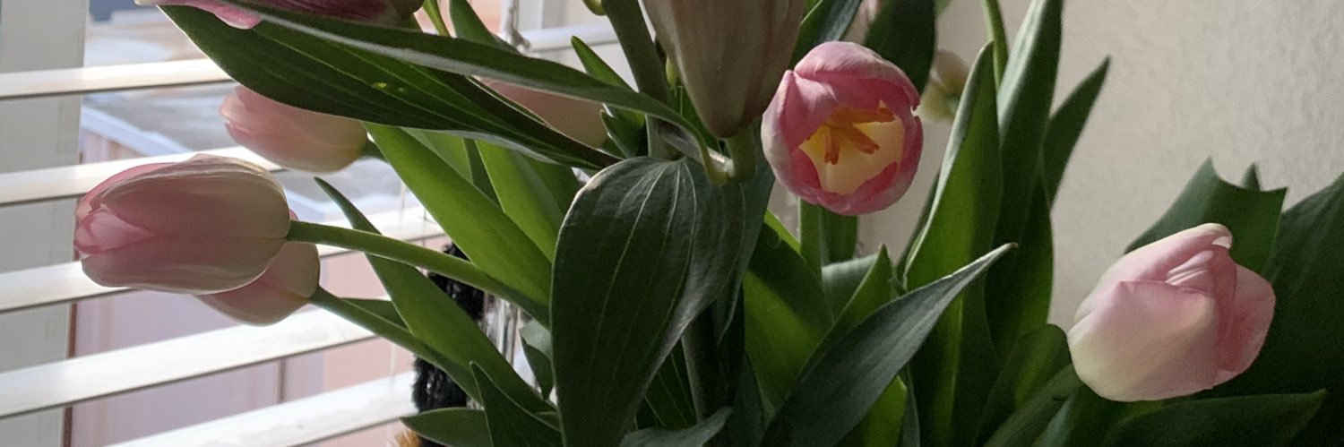 Marthaababe's profile banner image