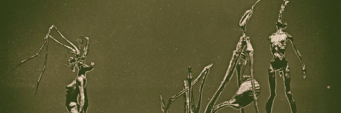 StrawHatSwift's profile banner image