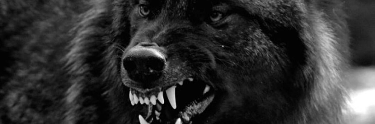 __DiggsJr__'s profile banner image