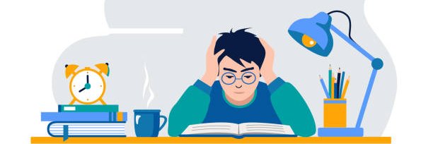 Zero Plagiarism banner