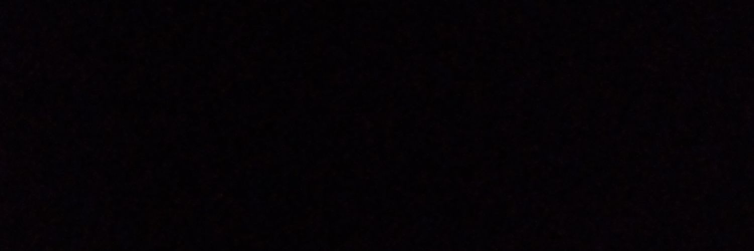camilaxfirst's profile banner image