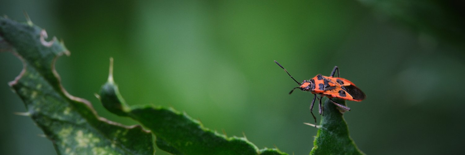 BrixPhoto's profile banner image