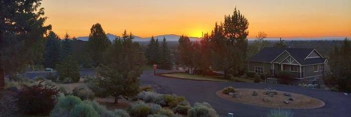 Shengle 🕕☘️💙🇺🇸 🏈💉 banner