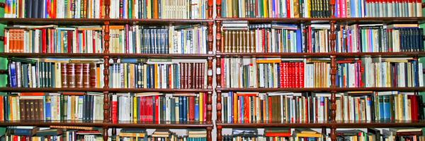 NBB_Elementary Profile Banner