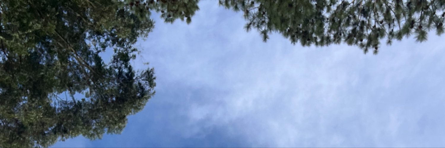 Feerbasso's profile banner image