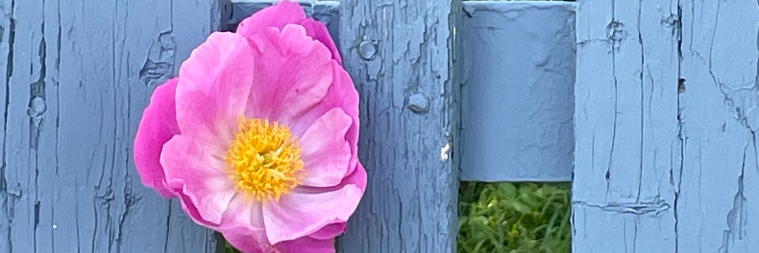 Sevtap Savas, PhD (she/her)'s banner