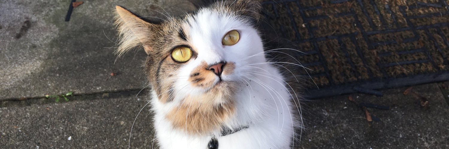 RosyJoness's profile banner image