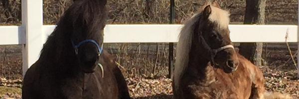 THesse_IGH Profile Banner